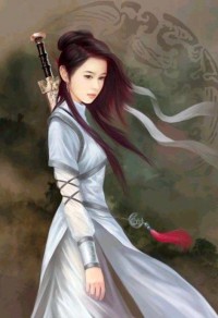 宠物小精灵之冰羽泽