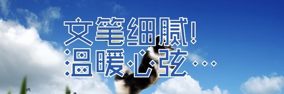 文笔细腻！温暖心弦…